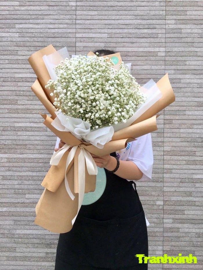 hoa baby và kỷ niệm