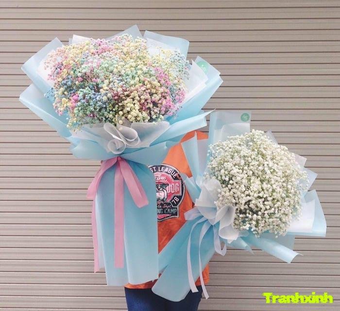 hoa baby và tình yêu