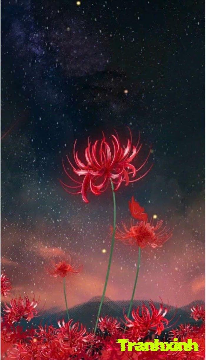 hoa bỉ ngạn và bi thương