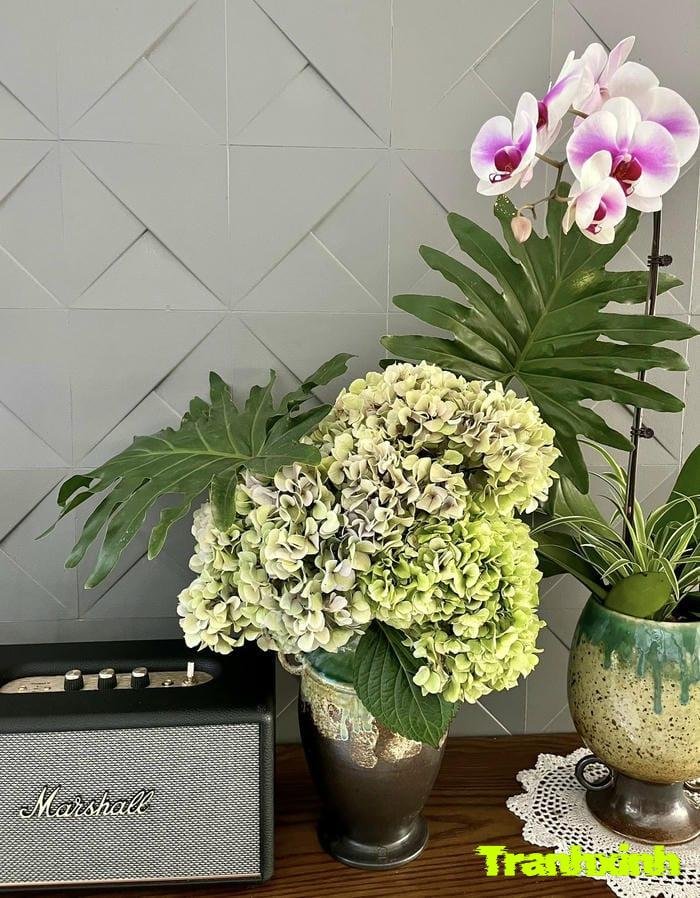 hoa cẩm tú cầu cắm bình