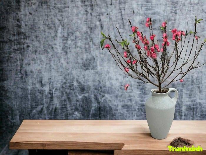 hoa đào và sự thịnh vượng