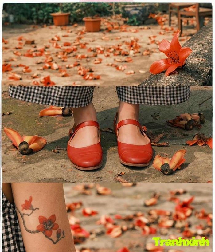 hoa gạo và con đường