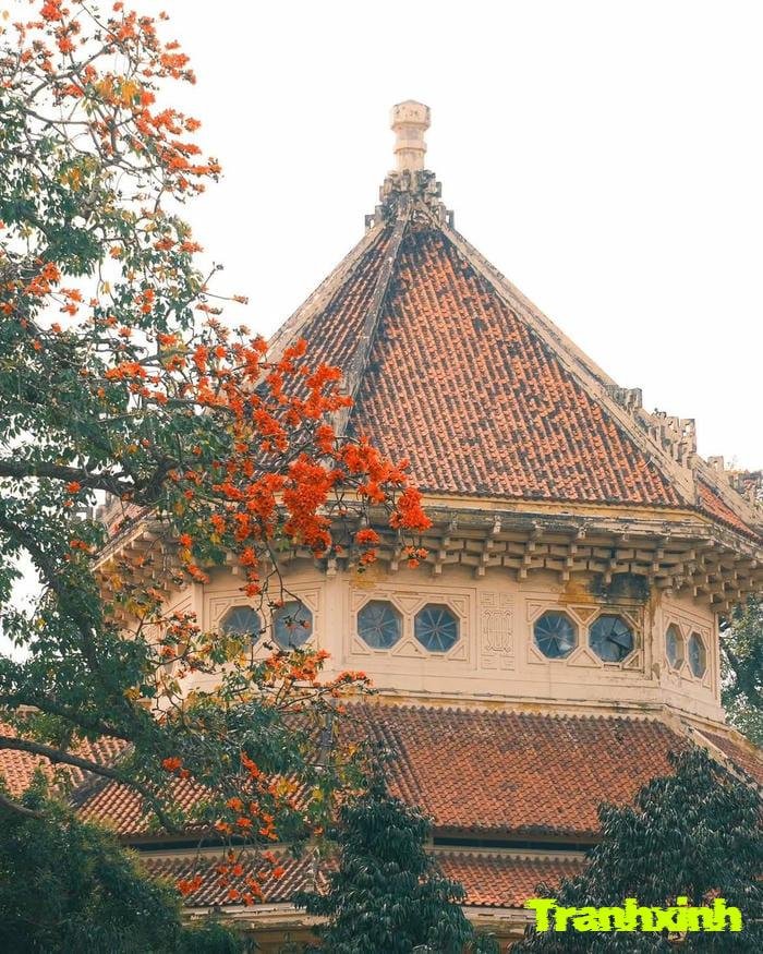 hoa gạo và làng quê