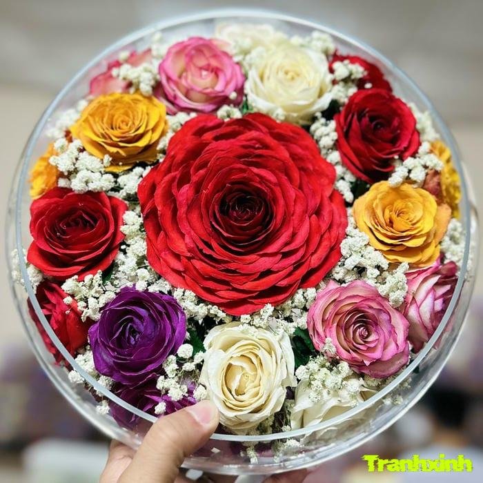 hoa hồng đơn giản