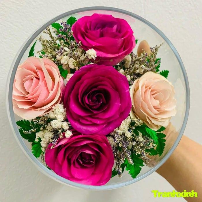 hoa hồng phong cách