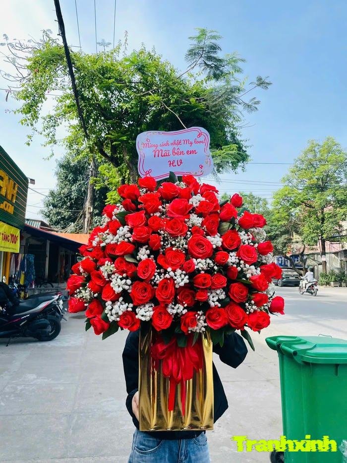 hoa hồng rực rỡ