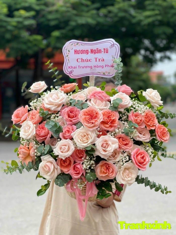 hoa hồng thanh lịch