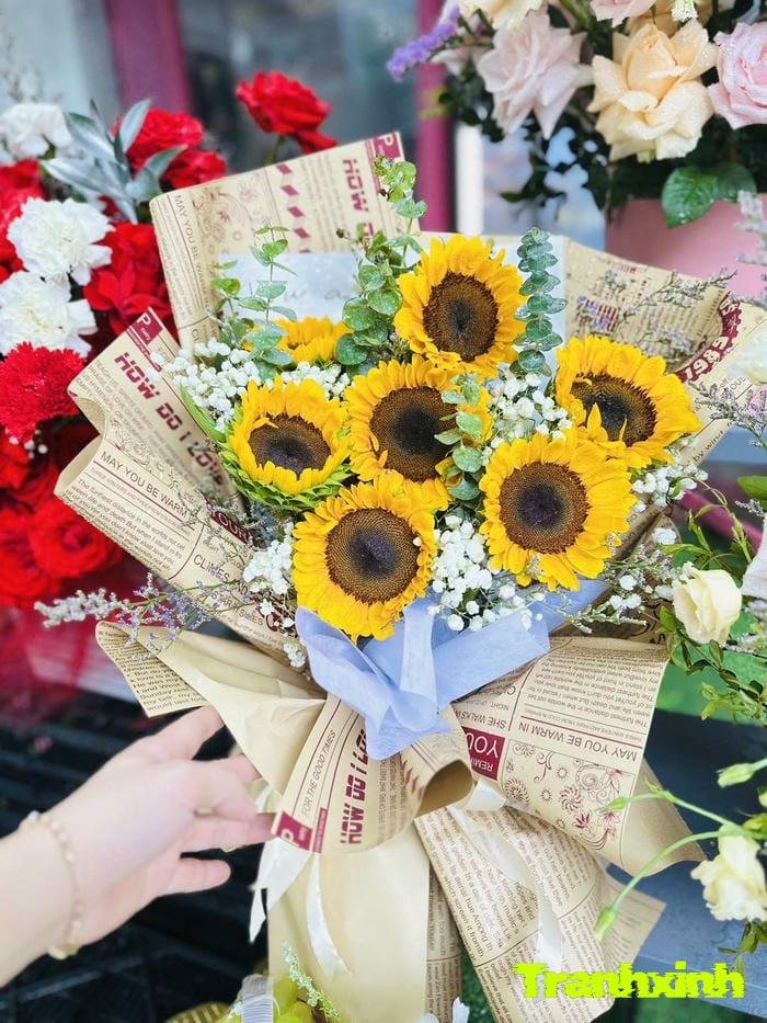 hoa hướng dương rực rỡ