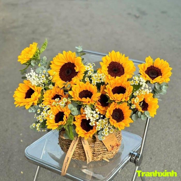 hoa hướng dương và hy vọng