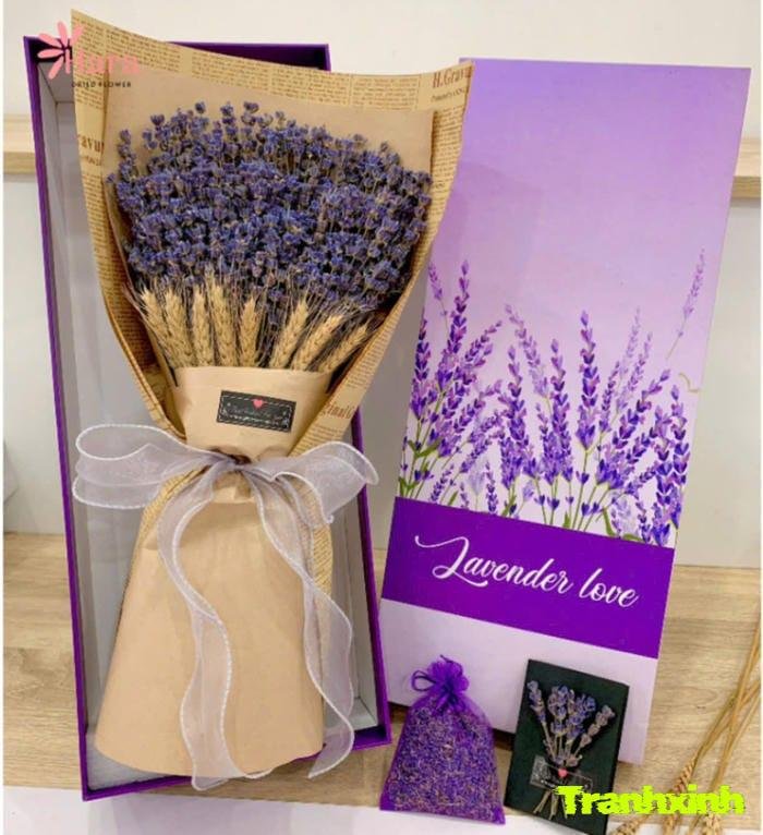 hoa lavender màu than độc đáo