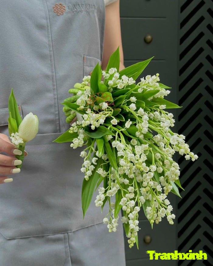 hoa linh lan đẹp và nhỏ