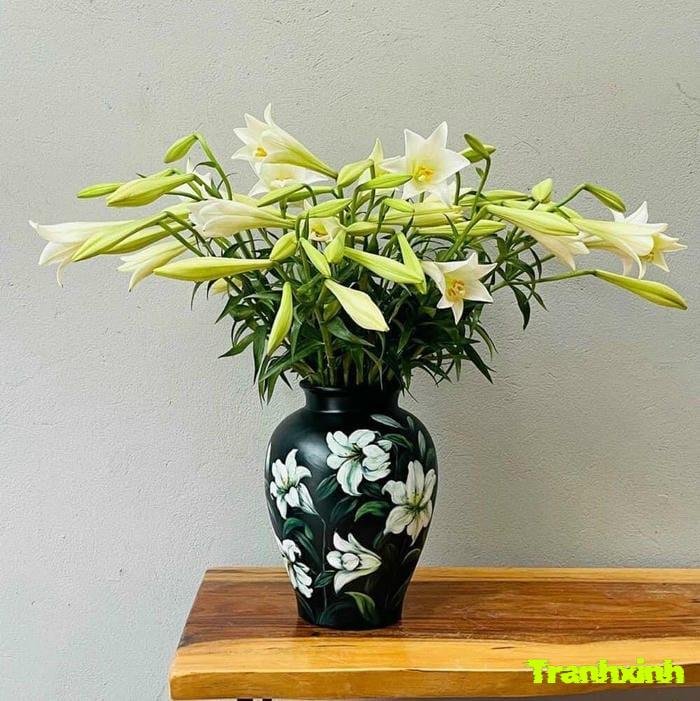 hoa loa kèn để bàn