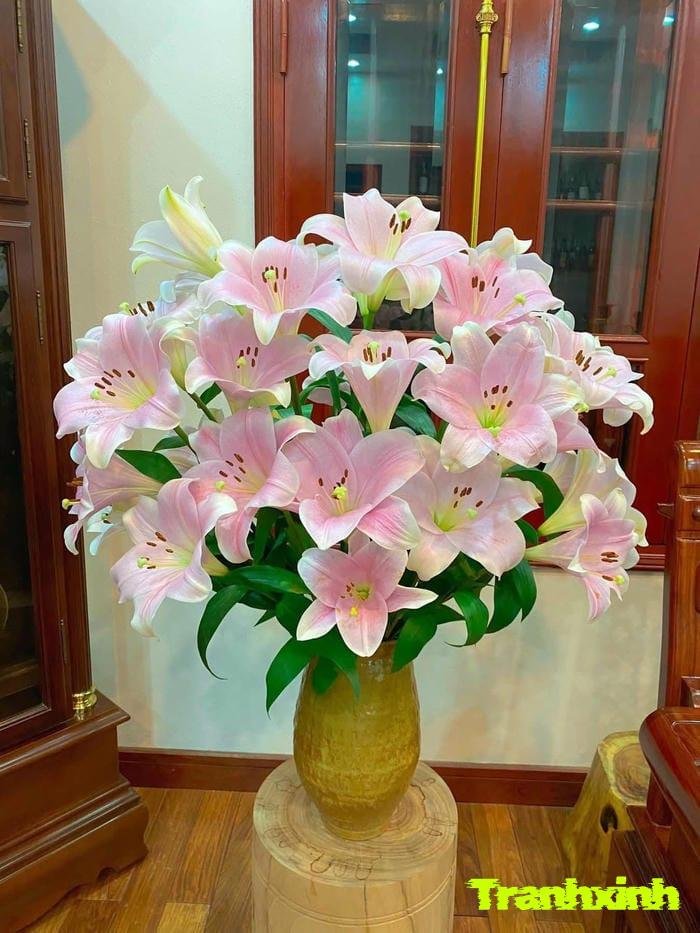 hoa loa kèn đơn giản