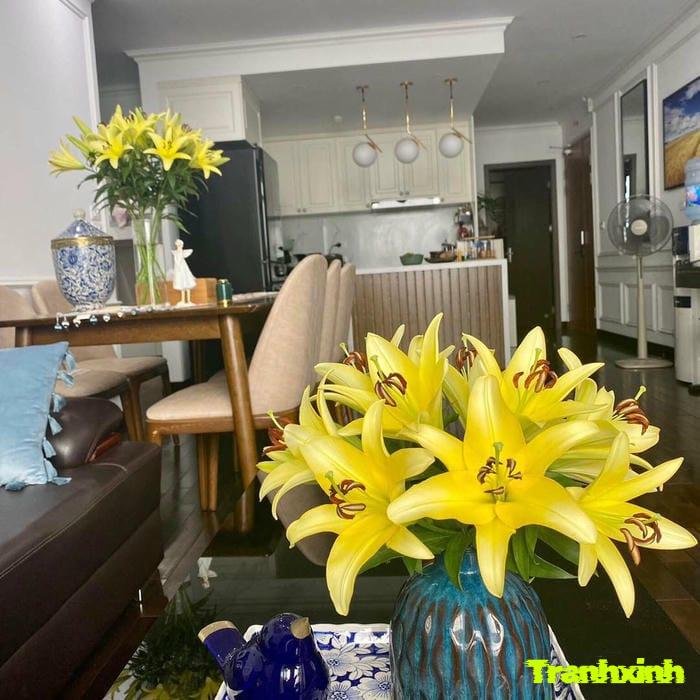 hoa ly và ánh sáng