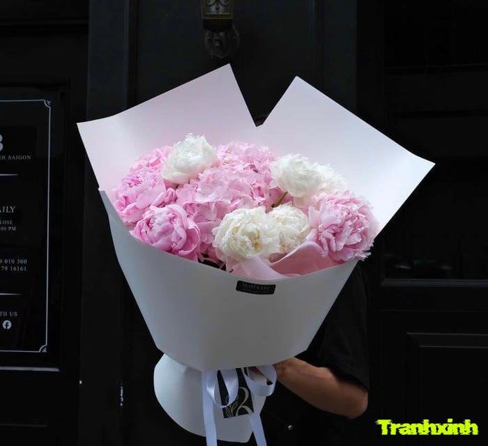 Tuyển tập 342+ ảnh hoa mẫu đơn đẹp rạng rỡ cực kì bắt mắt