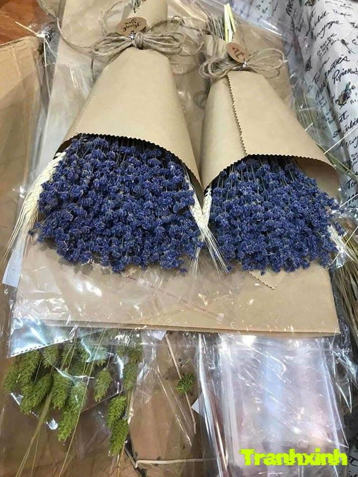 hoa màu than độc đáo