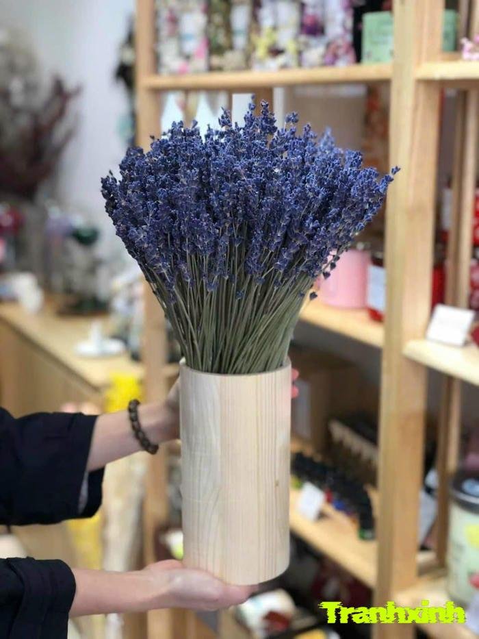 hoa màu than nghệ thuật