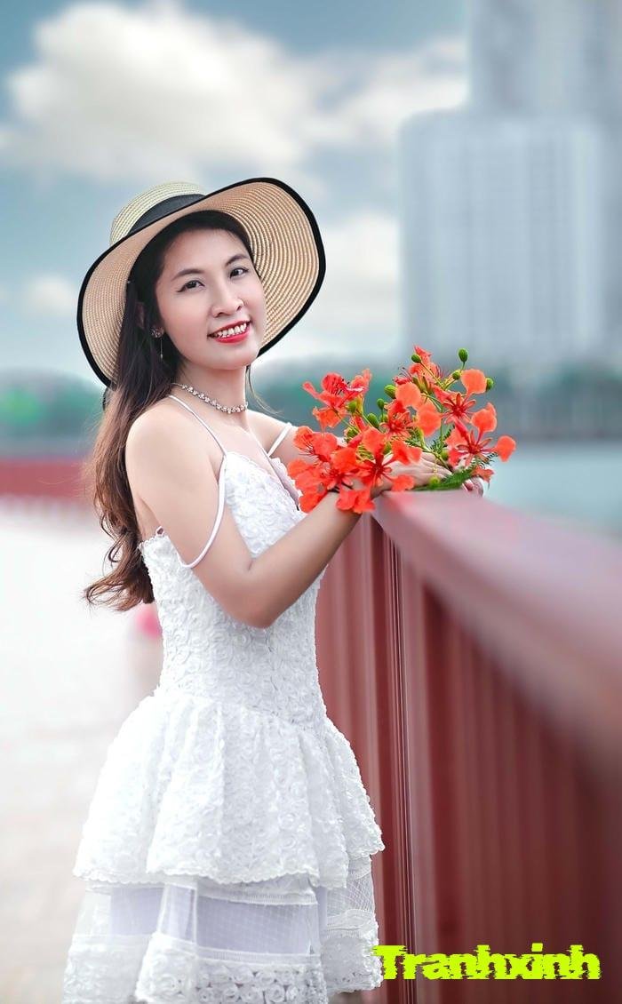 hoa phượng và tuổi học trò