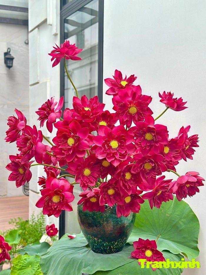 hoa sen kiểu vintage