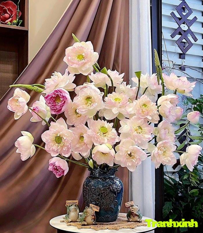 hoa sen màu trắng