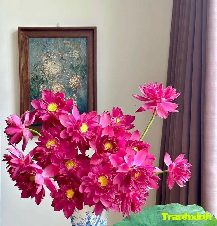 hoa sen và nghị lực