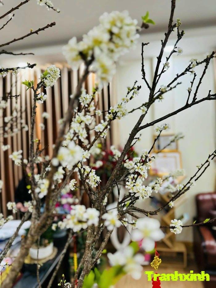 hoa tết kiểu vintage