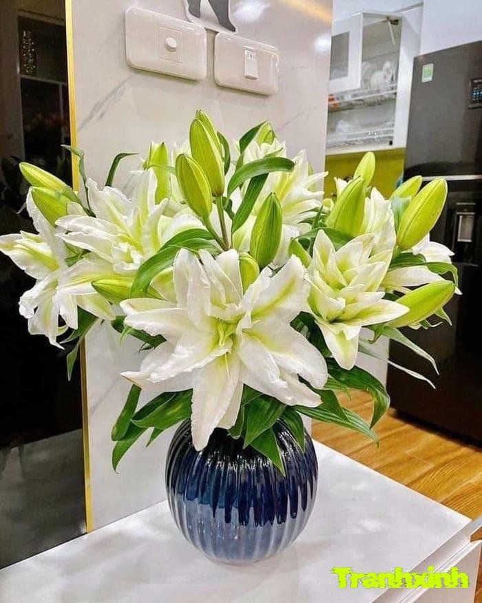 hoa trắng đơn giản