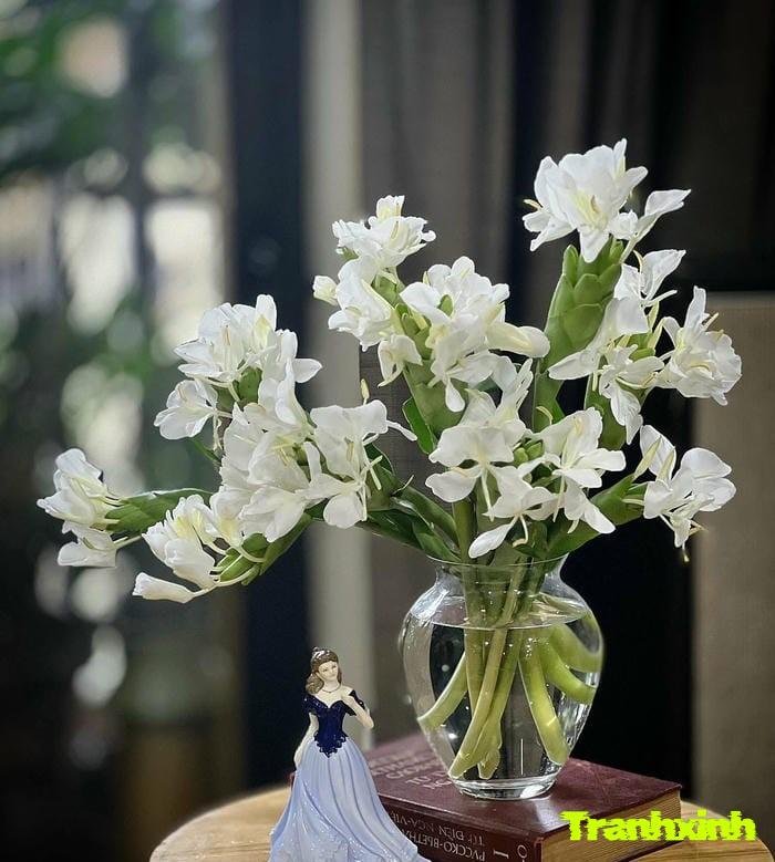 hoa trắng kiểu vintage