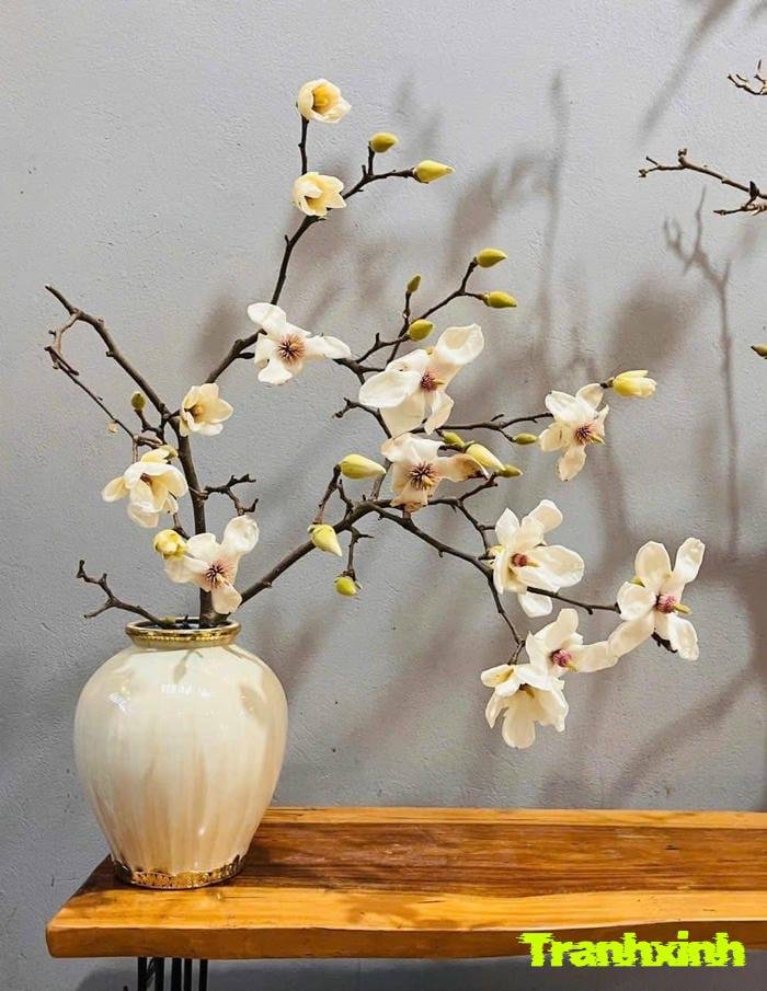 hoa trắng tinh khôi