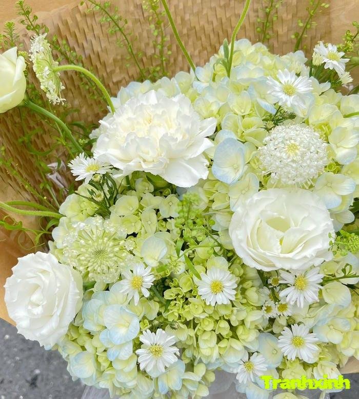 hoa trắng và sự thanh lịch