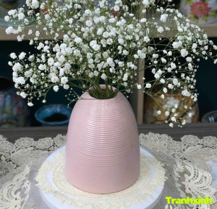 hoa trắng việt nam