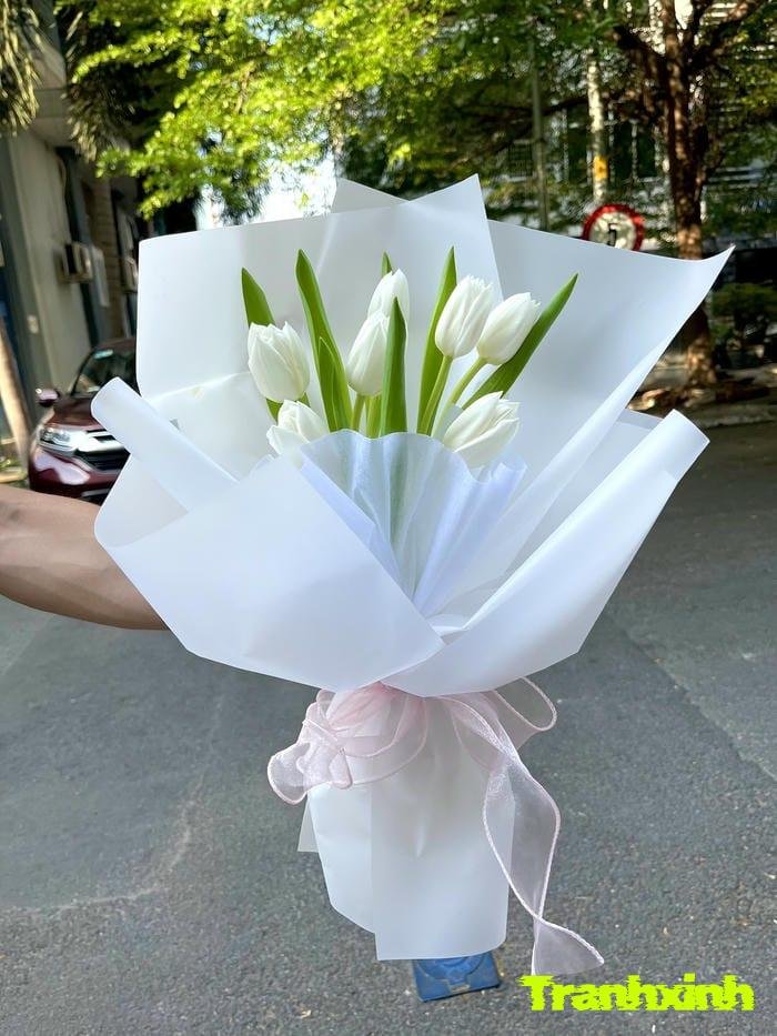 hoa tulip và hạnh phúc