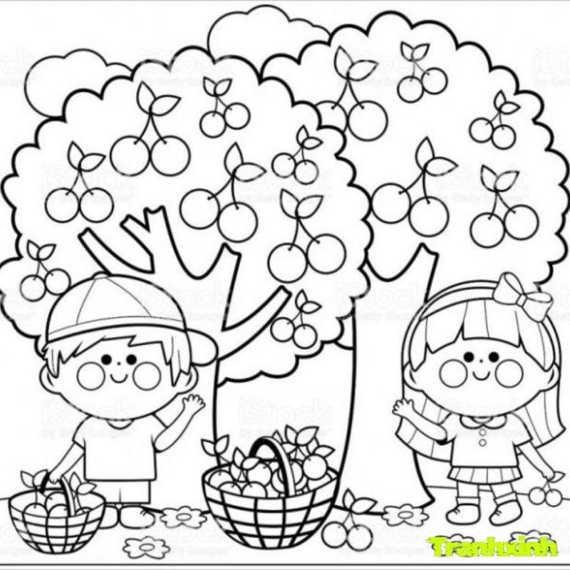 tô màu mua của năm