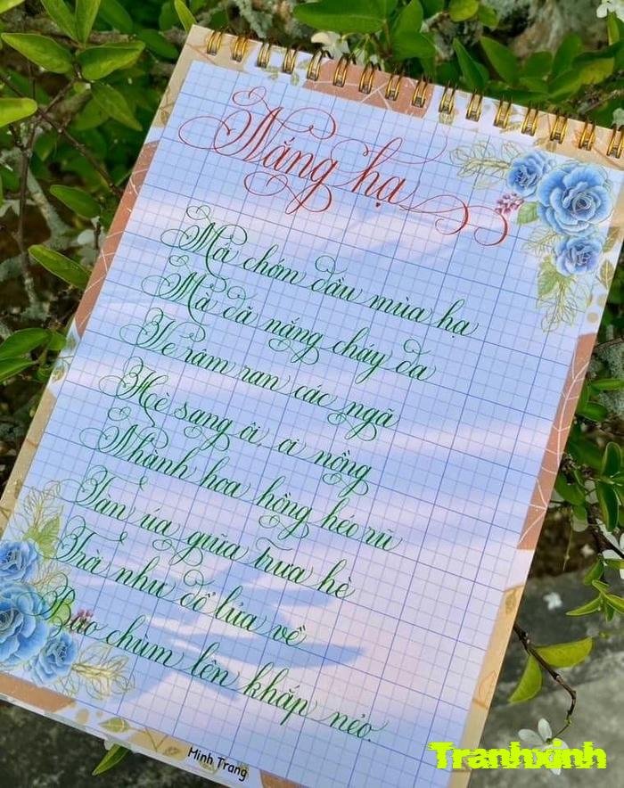 trang trí bài viết dễ làm