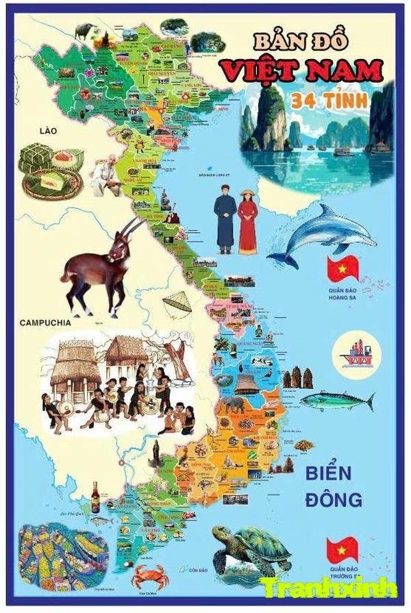 trang trí bản đồ việt nam treo tường