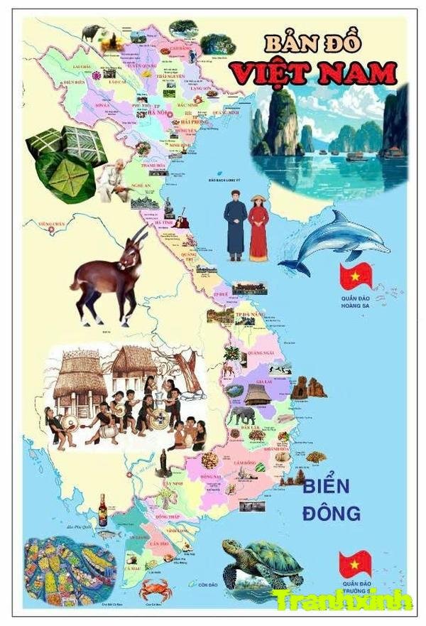 trang trí bản đồ việt nam và du lịch