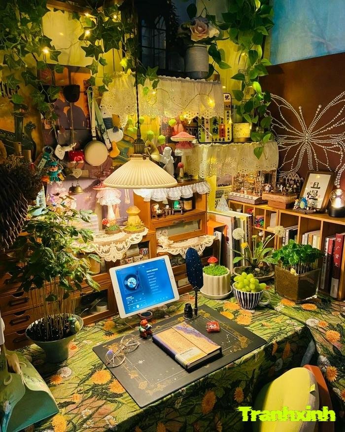 trang trí bàn làm việc cây xanh