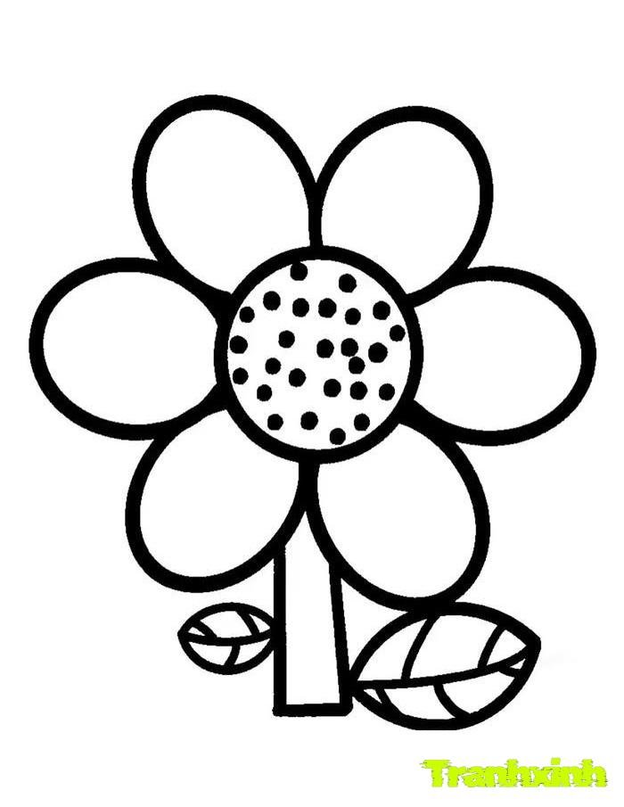 tranh tô màu bông hoa 1