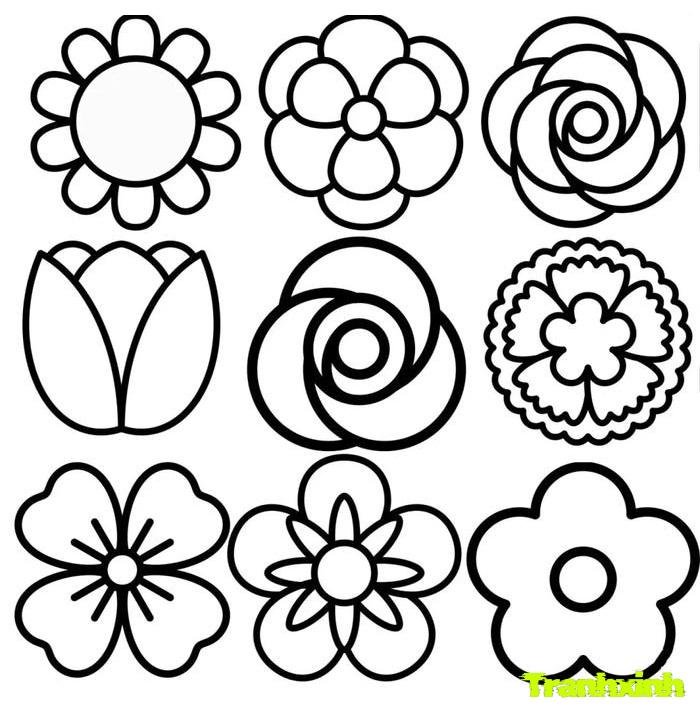 tranh tô màu bông hoa 11