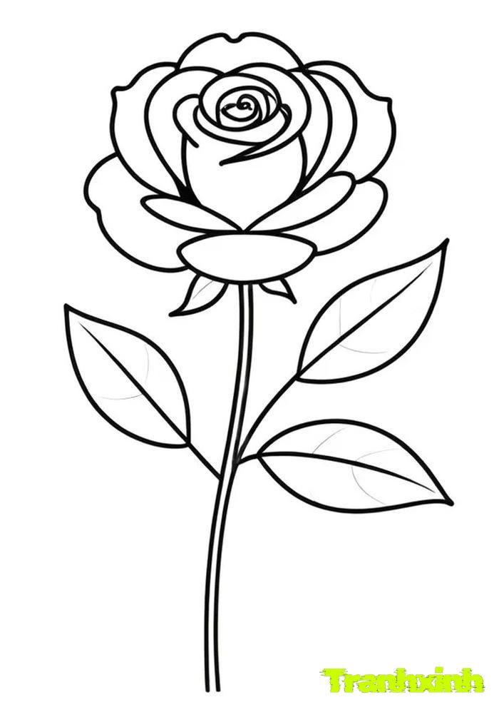 tranh tô màu bông hoa 12