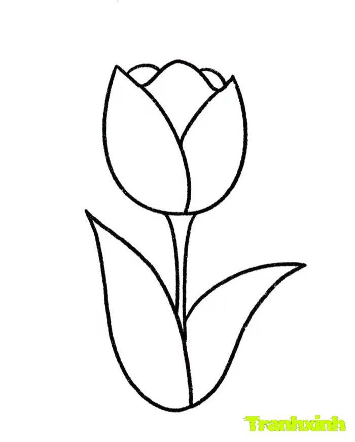 tranh tô màu bông hoa 19