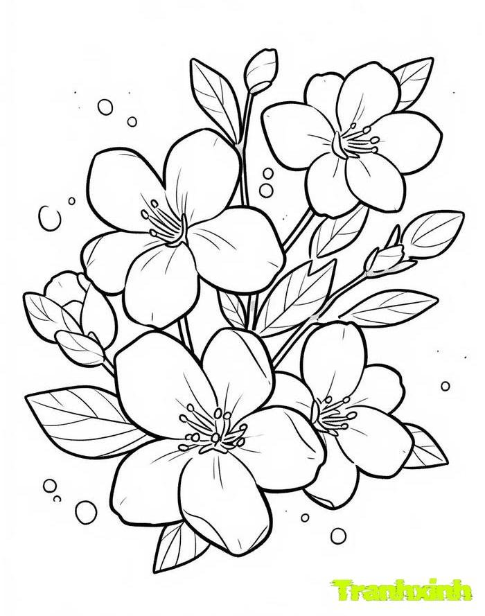 tranh tô màu bông hoa 27