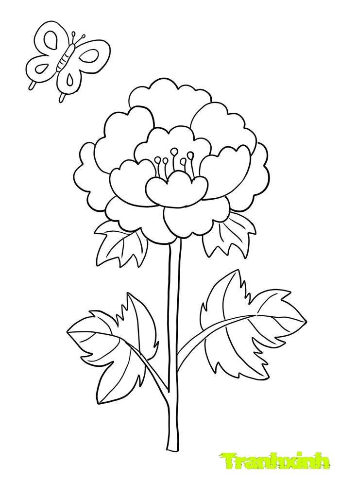 tranh tô màu bông hoa 33