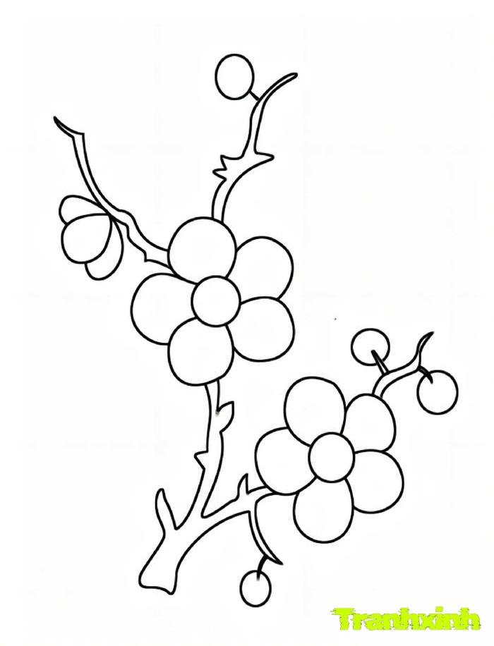 tranh tô màu bông hoa 34