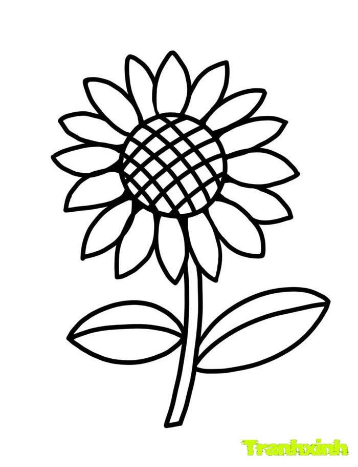 tranh tô màu bông hoa 36