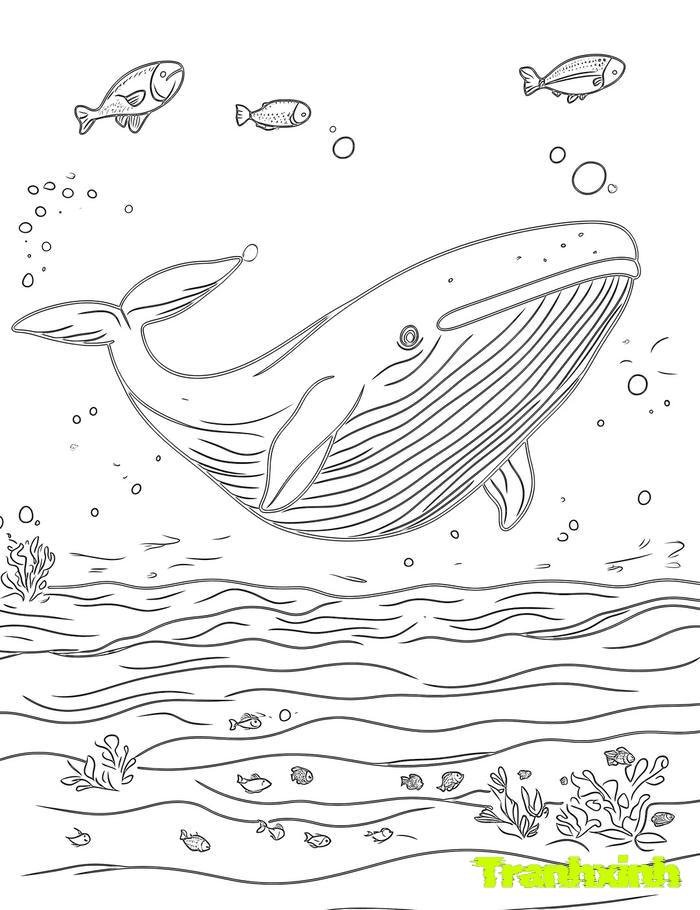 tranh tô màu cá mập 1