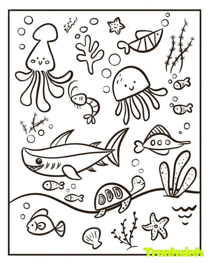 tranh tô màu cá mập 17