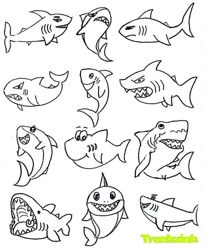 tranh tô màu cá mập 2