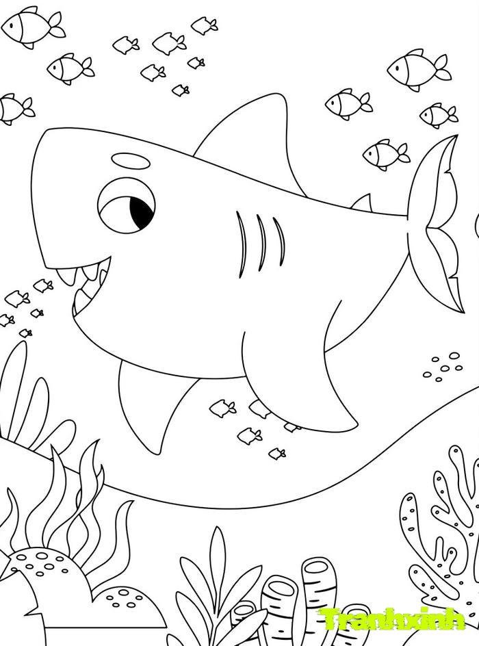 tranh tô màu cá mập 21