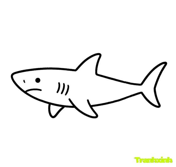 tranh tô màu cá mập 32